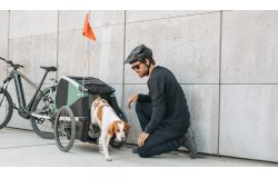 Remorque vélo pour chien Thule Bexey
