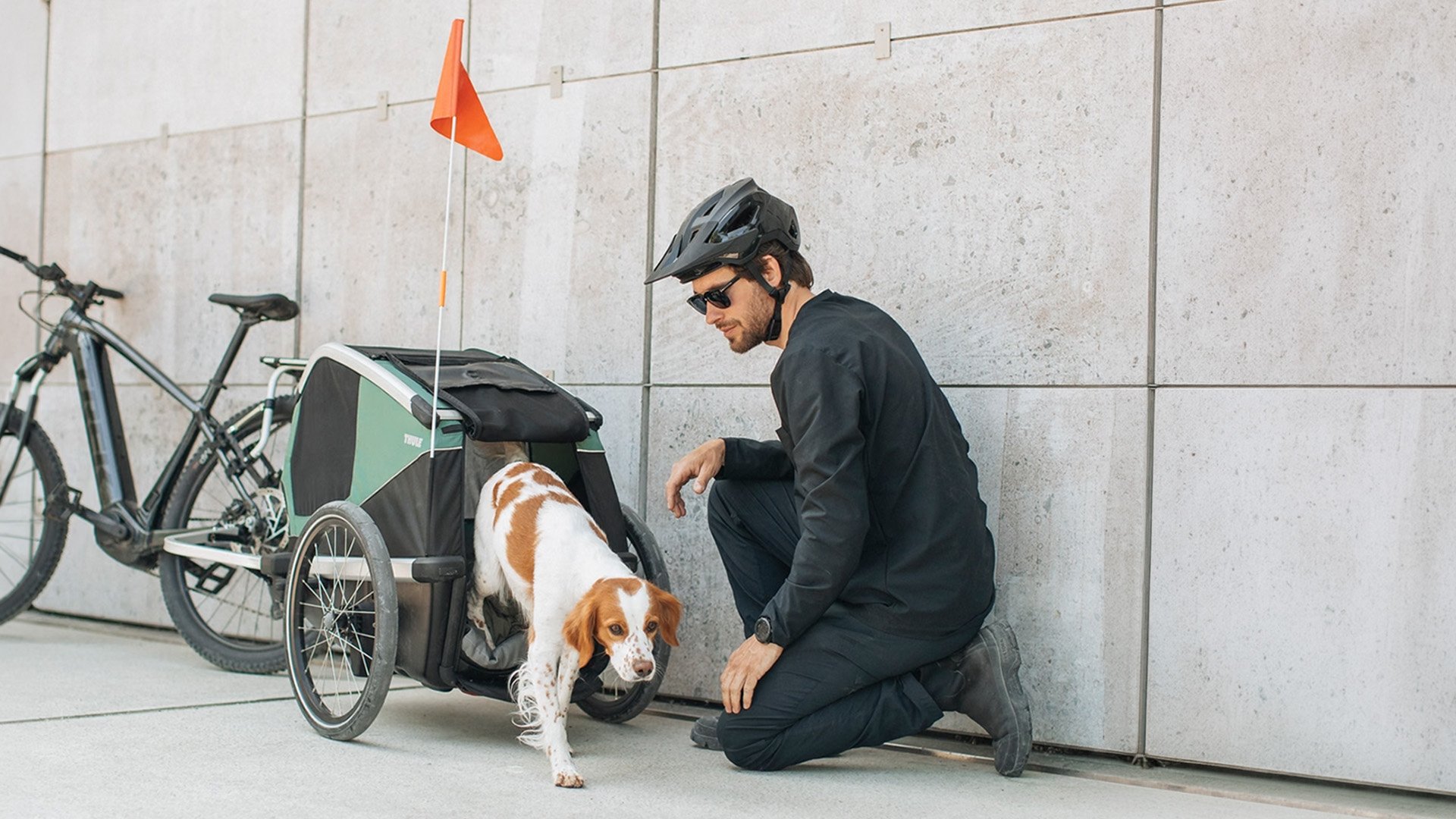 Remorque vélo pour chien Thule Bexey