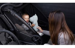 Remorque vélo pour enfant Thule Chariot Sport 2 double
