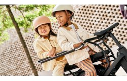Barre de Protection pour longtail Urban Arrow Breeze