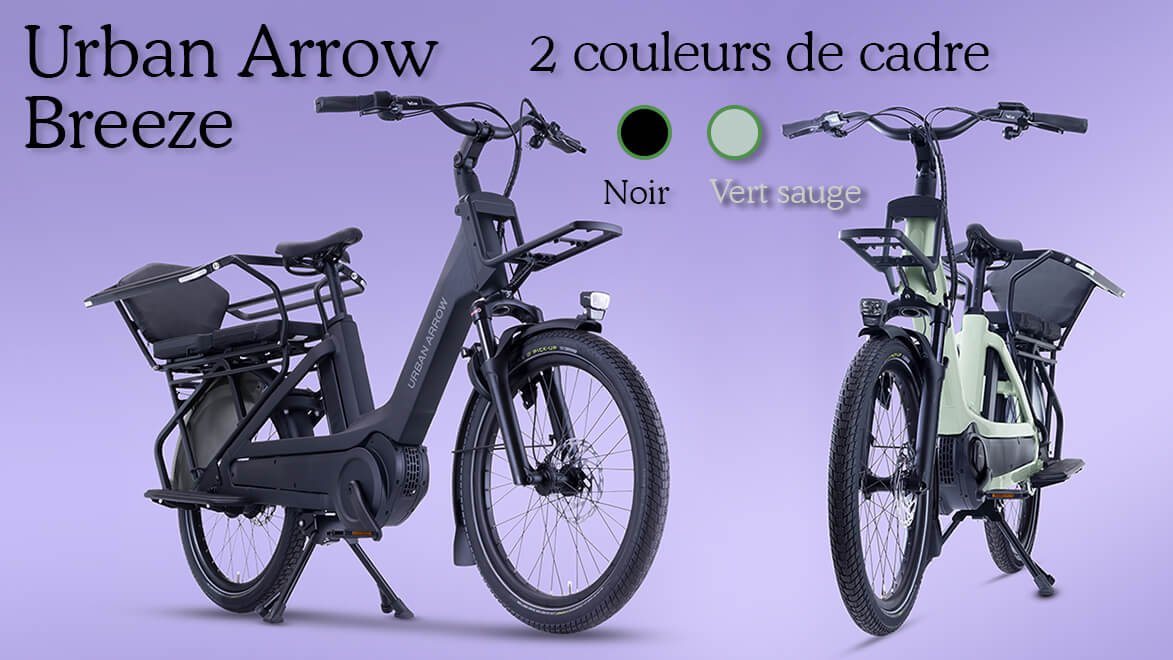 2 choix de couleurs de cadre : noir ou vert sauge