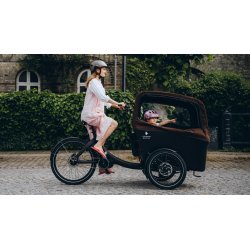 Triporteur électrique Triobike Boxter Air III