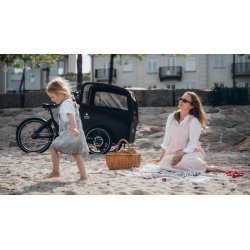 Triporteur électrique Triobike Boxter Air III