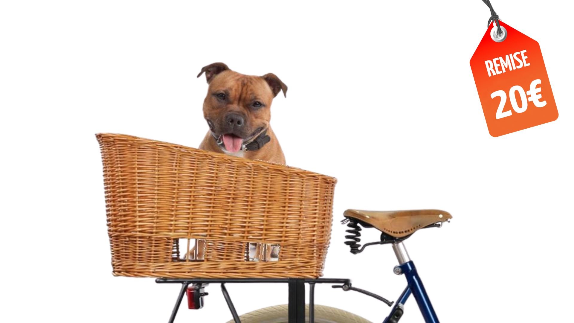 Panier chien arrière