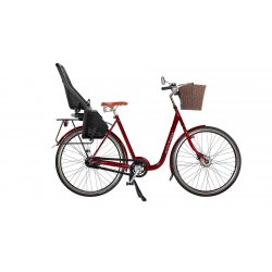 Vélo hollandais avec seuil d'enjambement bas et différents accessoires