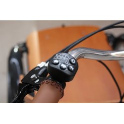 Console E-Curve pour biporteur ou triporteur Babboe