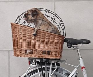 panier-chien-velo