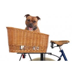 panier-chien-velo-porte-bagage