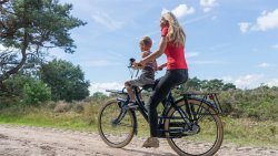 Une selle de cadre peut être fixée pour accueillir un jeune enfant devant le conducteur