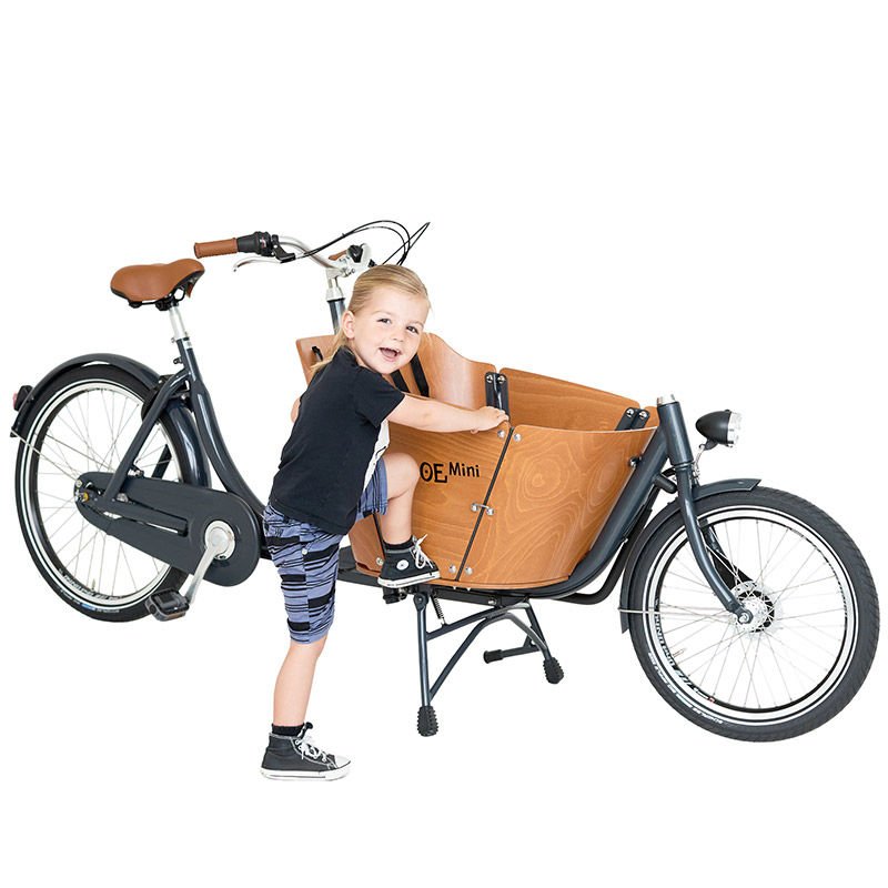 Biporteur Babboe Mini électrique avec options ( cliquer sur Configurer pour plus d'informations)