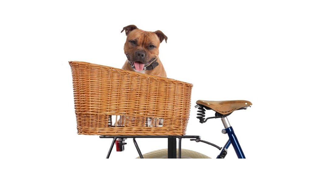 Currículum étnico Hermano Basil-Panier vélo hollandais arrière amovible pour transporter un chien,
