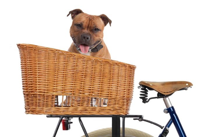 Panier de vélo arrière pour chien, sans grille (50cm)