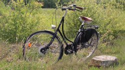 vélo hollandais amsterdam air 1881 dans la nature