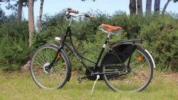 Vélo hollandais Amsterdam Air 1881 dans la nature