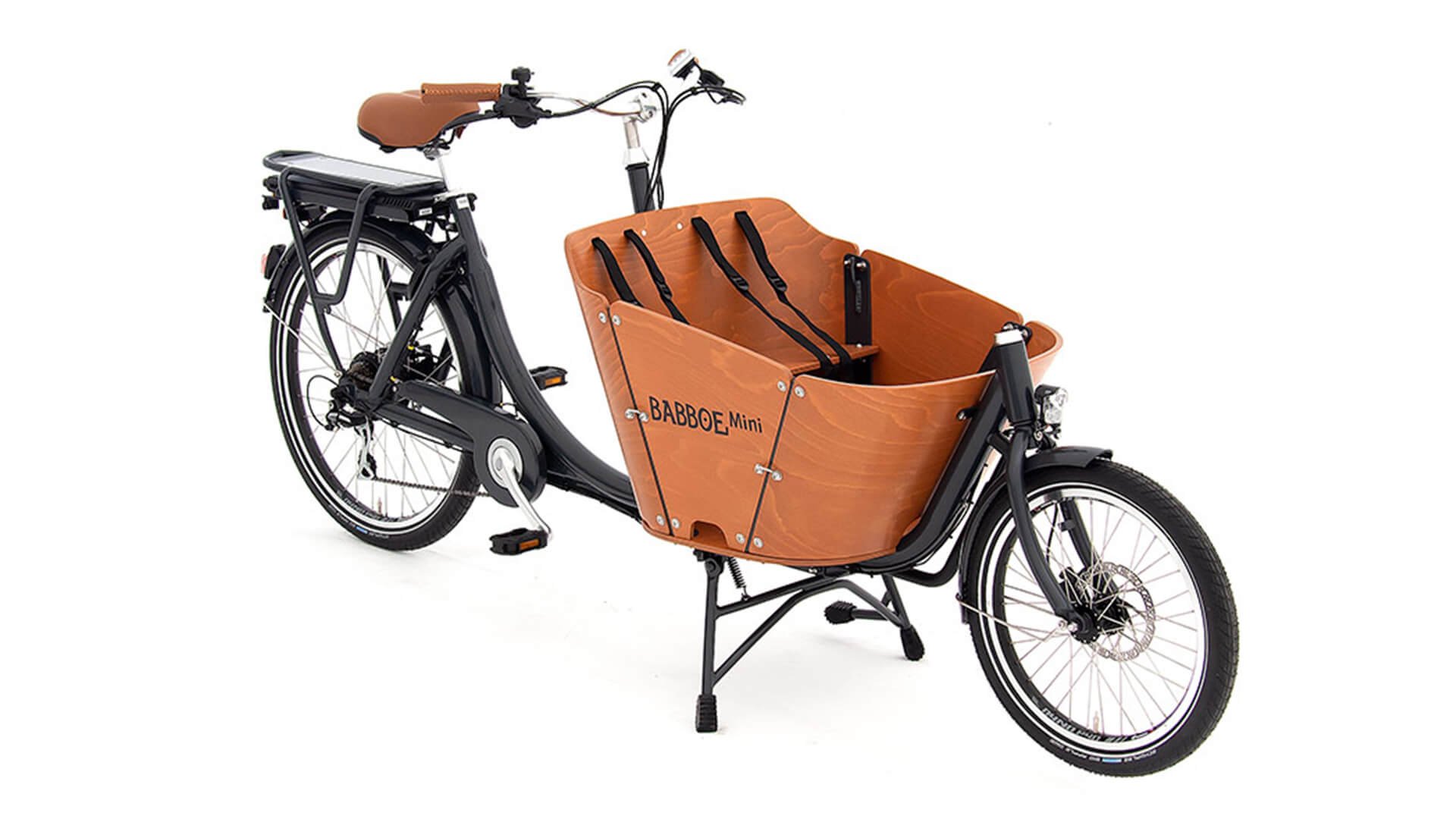 Biporteur Babboe Mini électrique avec options