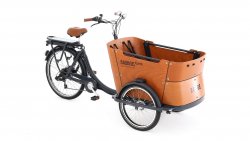 Le trriporteur électrique Babboe Curve-E