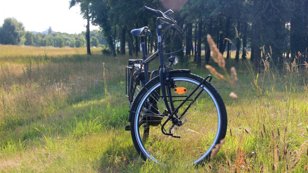 Vélo électrique Opal High 28" avec moteur Shimano STEPS Larges pneumatiques Marathon Plus renforcés