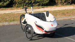 La caisse du Triobike Mono peut accueillir 2 enfants jusqu'à 9 ans environ
