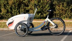 Équipé d''un moteur Brose Drive S situé au niveau du pédalier 