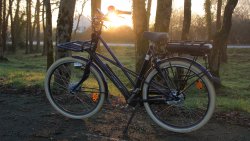 Un vélo hollandais grand confort fait pour toutes les silhouettes