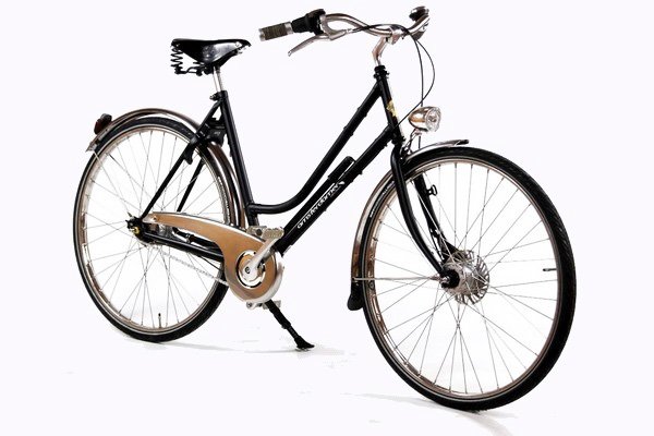 Vélo hollandais Birdy vue avant
