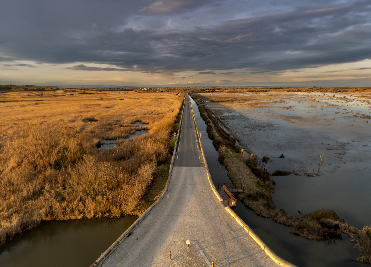 Des marais à perte de vue et une lumière phénoménale, pas de doute nous sommes en Camargue