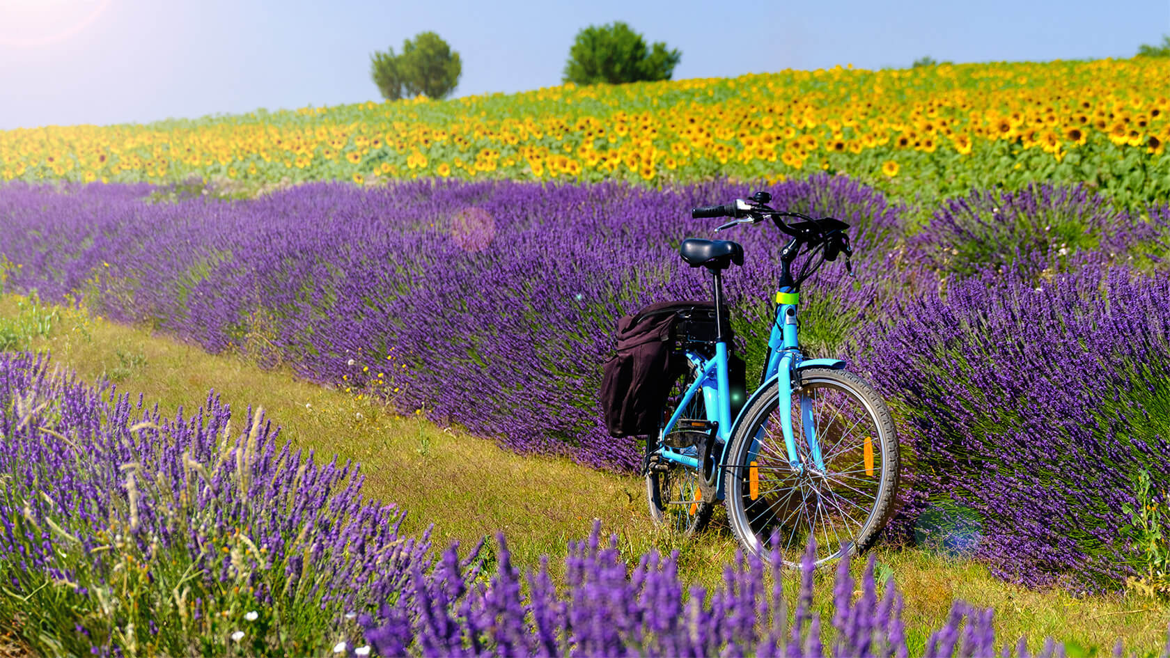 Un vélo de voyage au milieu des champs de lavande et de tournesols quelque part en Provence