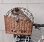 Panier arrière vélo chien