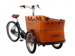 Triporteur famille babboe curve