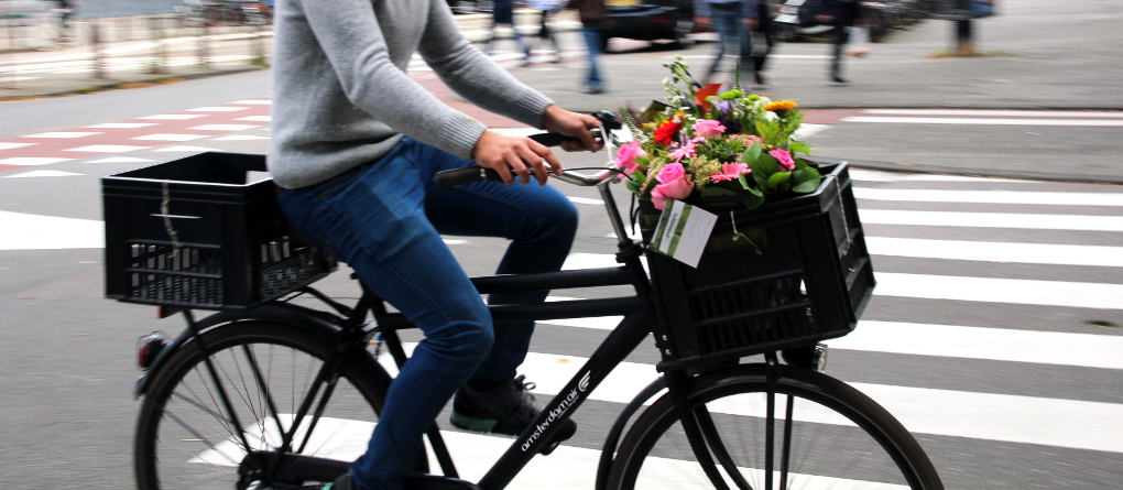 Faire ses courses à vélo de ville une solution écologique et plaisante