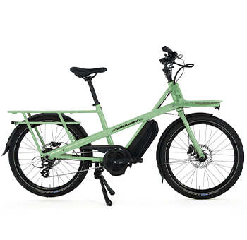 Longtail Jean Fourche