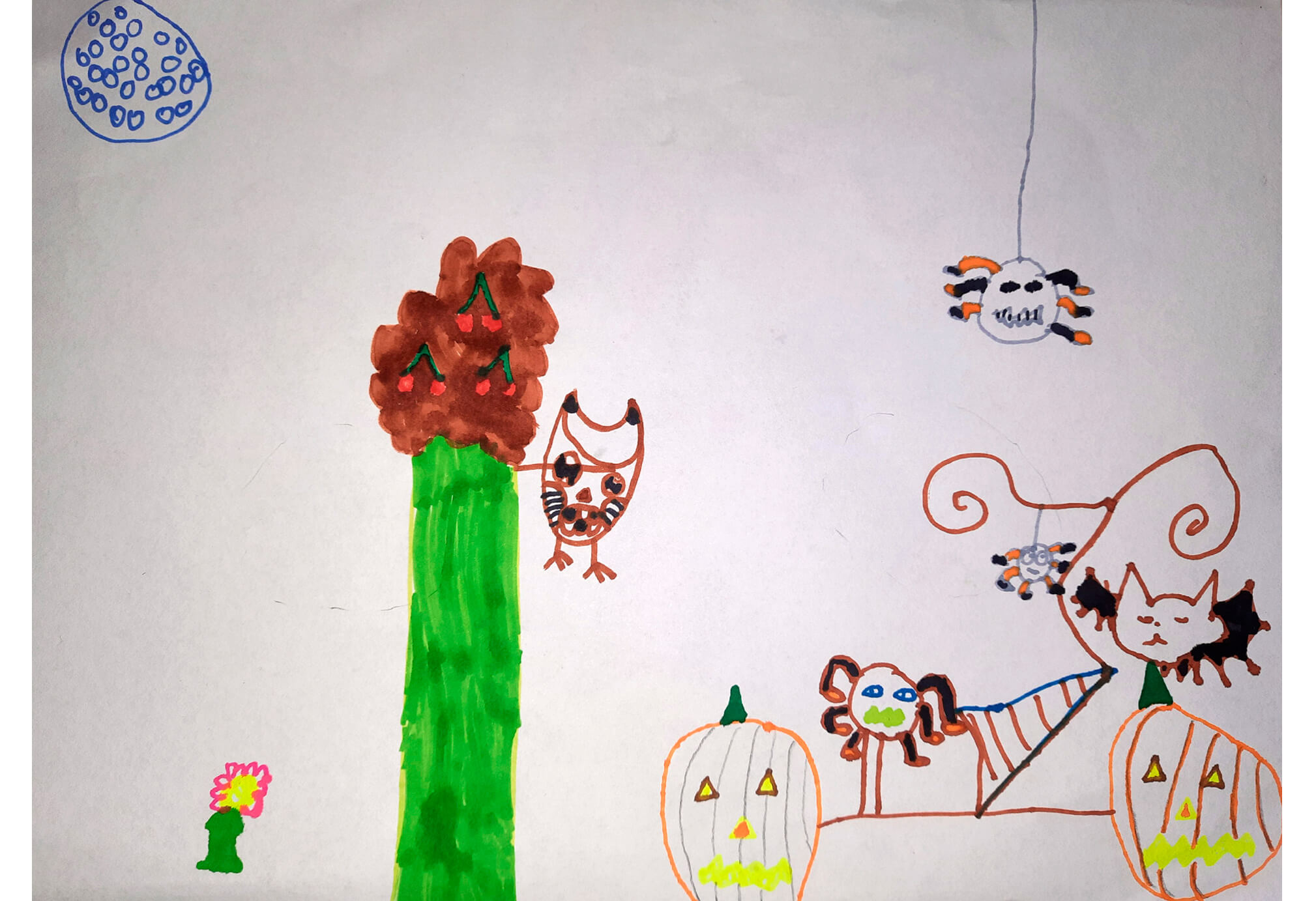 Dessin de Calista, 7 ans