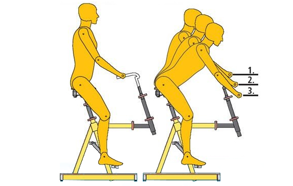 Positions sur vélo hollandais