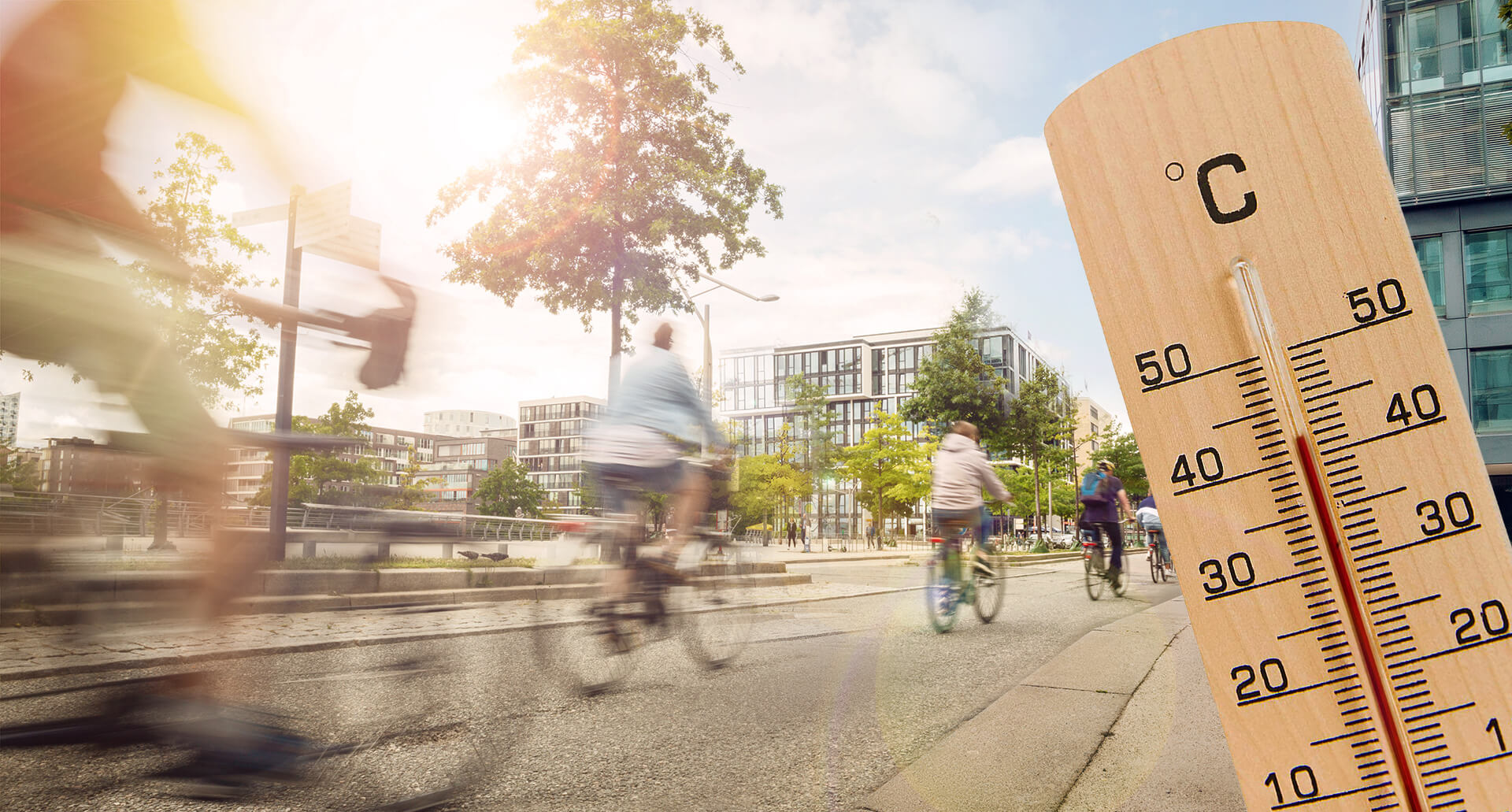 Cyclistes pédalant sous le soleil