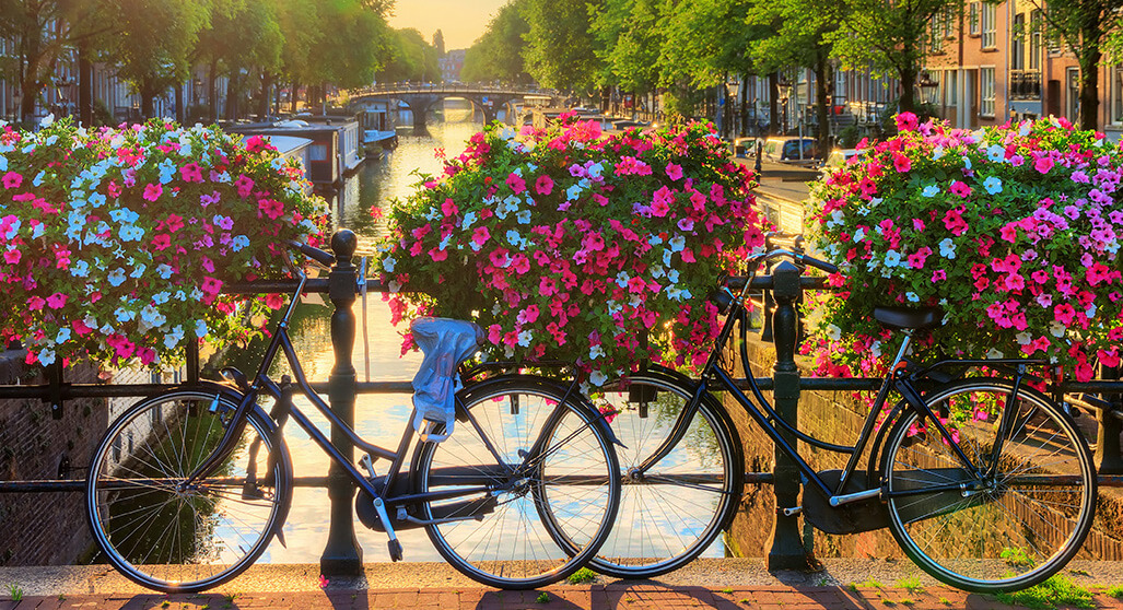 Où se promener à Amsterdam et ses alentours lors d'une balade à vélo ?