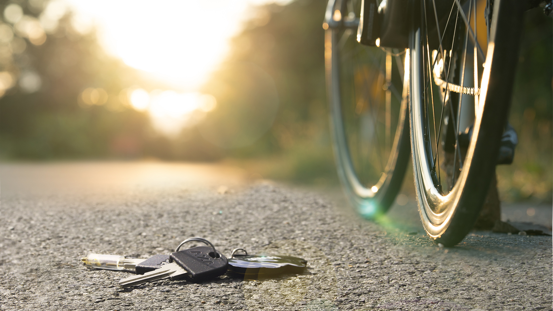 Cadenas et antivols vélo Abus : la sécurité pour votre vélo