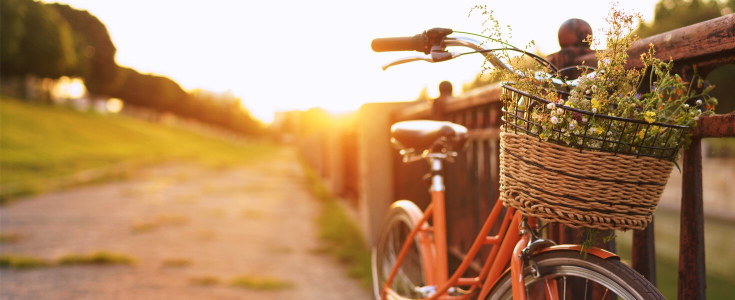 Panier avant ou arrière Cortina Dehli AVS sur Mes Vélos Hollandais