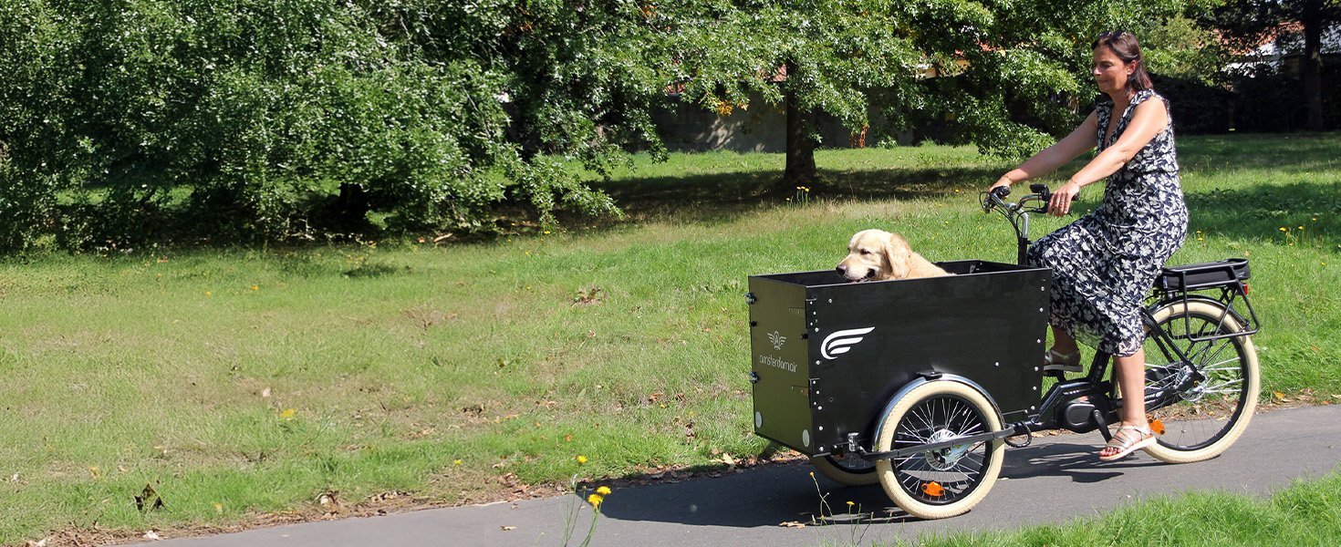 Triporteur chien
