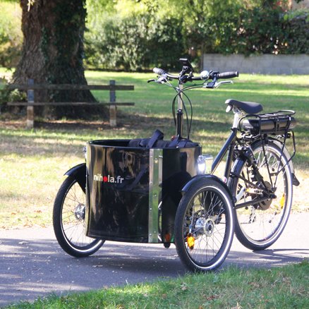 Triporteur NIHOLA LOW